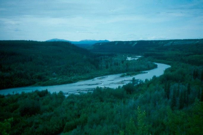 Salmon_fishing_46