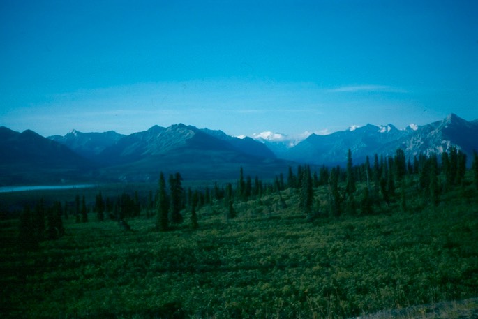 Salmon_fishing_4