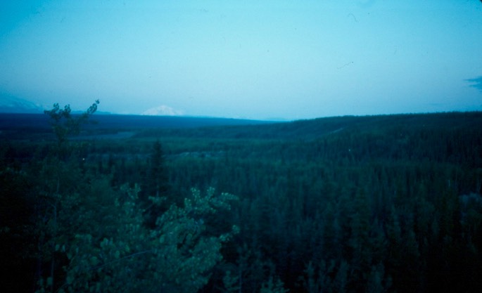 Salmon_fishing_6
