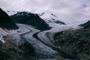 SalmonGlD03