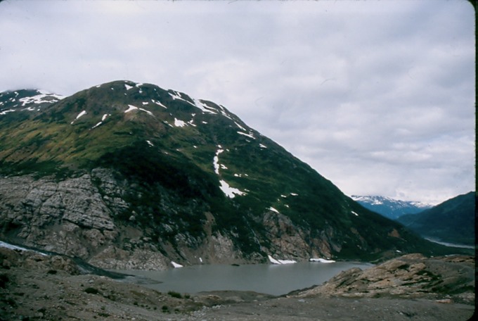 SalmonGlF02