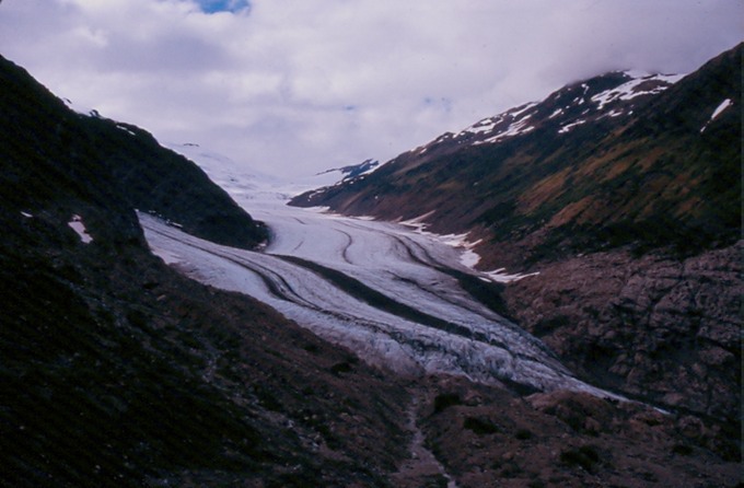 SalmonGlF03