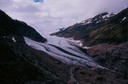 SalmonGlF03