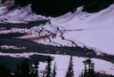 SalmonGlH03