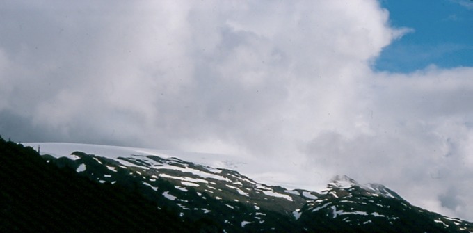 SalmonGlJ01