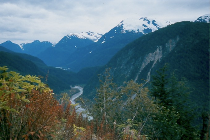SalmonGlK03