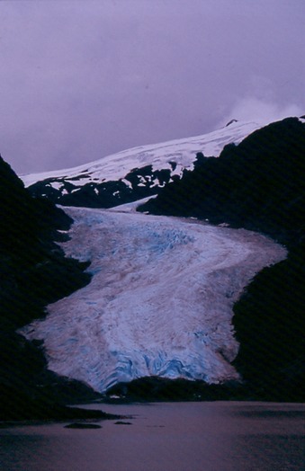 SalmonGlL03