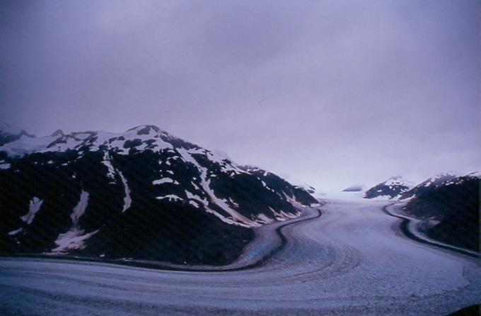 SalmonGlN02
