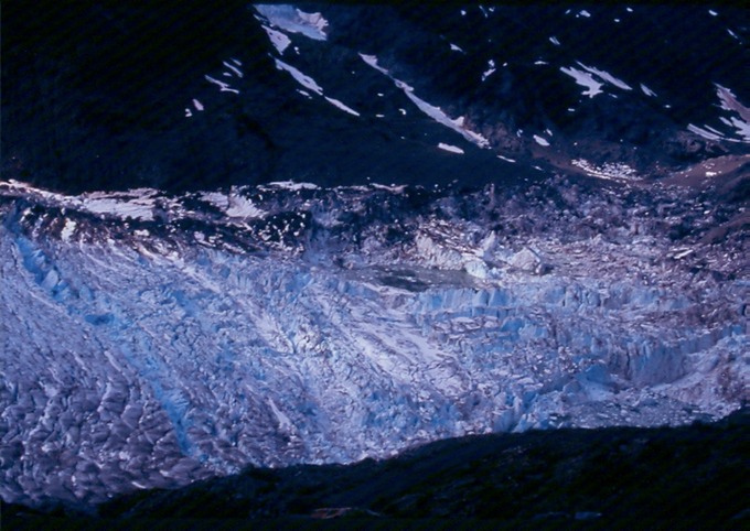 SalmonGlR03