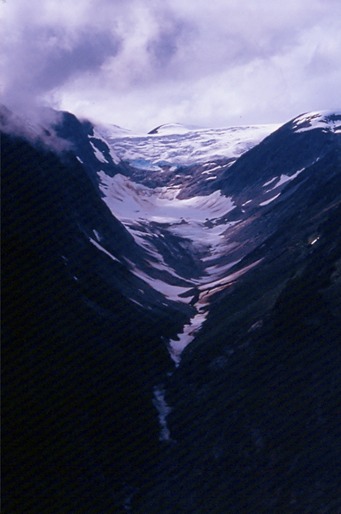 SalmonGlT02