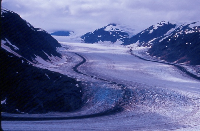 SalmonGlT