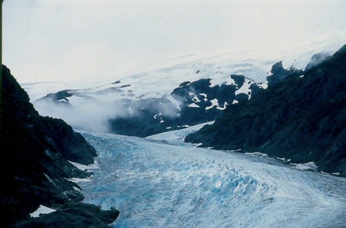 SalmonGlW