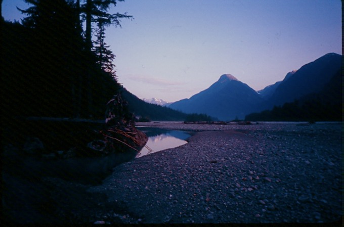 SalmonGlY02