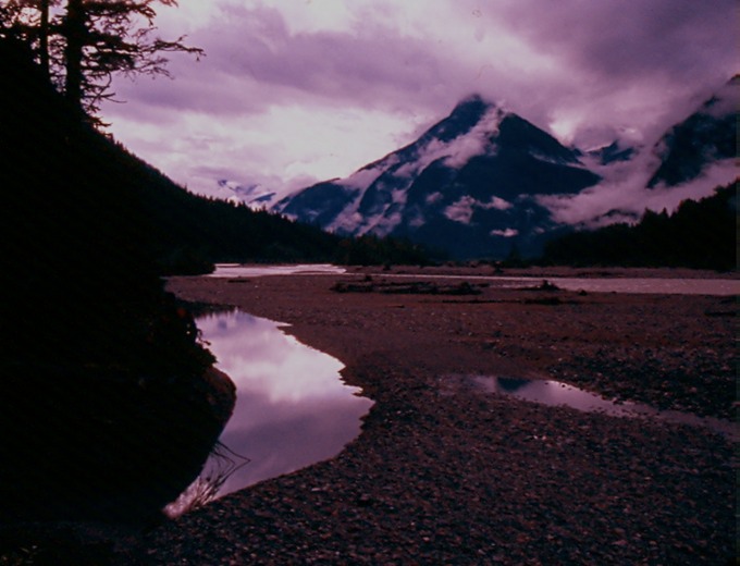 SalmonGlZE03