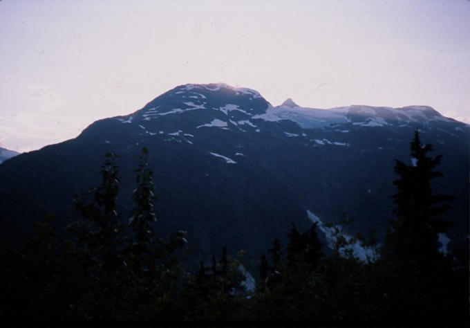 SalmonGlZG02
