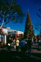 SanFran_Trp2_2011_B_44