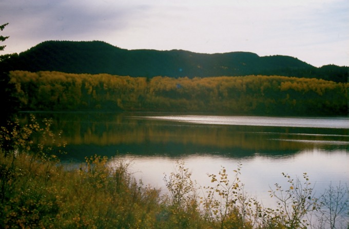 SmithersG02