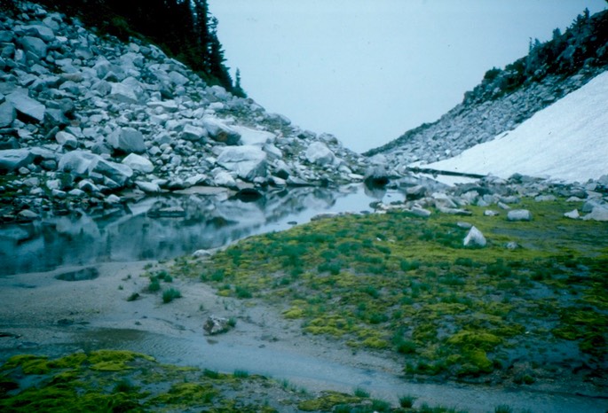 Sperry Peak 2 1985 41