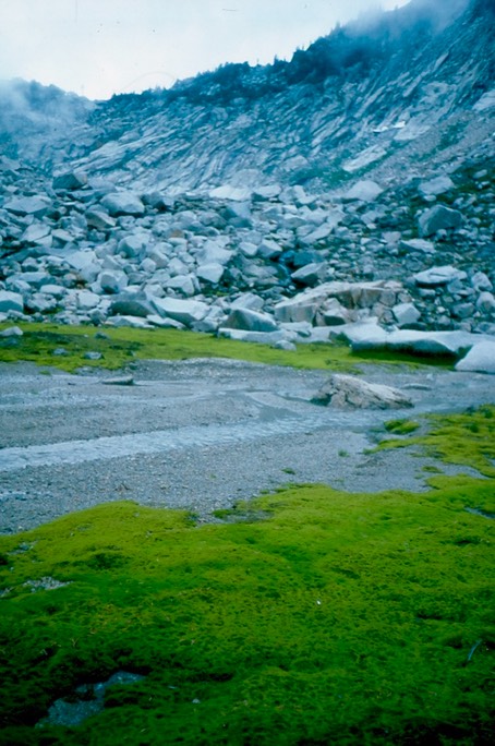 Sperry Peak 2 1985 45