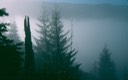 thumb_Hunting_I_c-2_1024