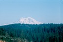 thumb_Hunting_I_c-3_1024