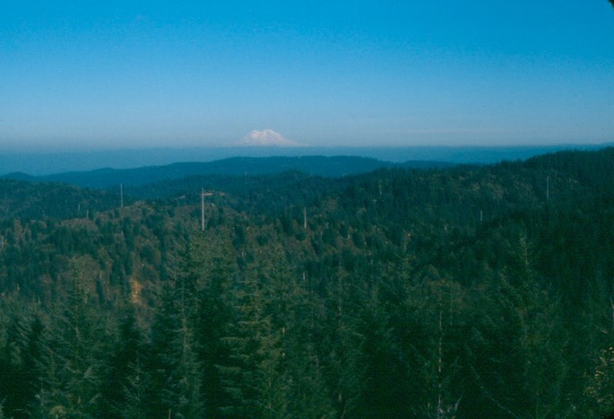 thumb_Hunting_I_c_1024