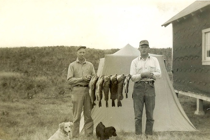 thumb_VMK_jetty_seabass_1024