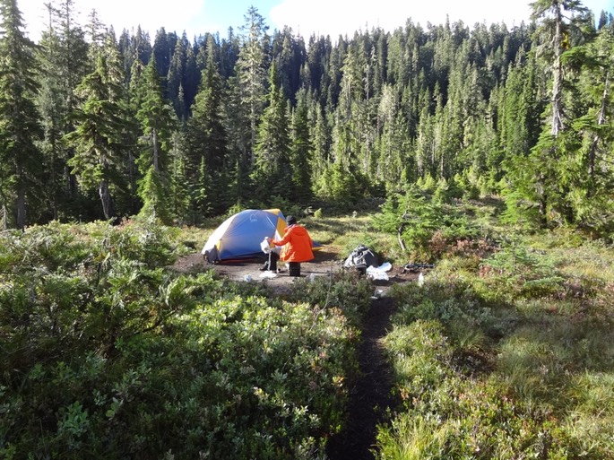 UNADJUSTEDNONRAW_thumb_4994