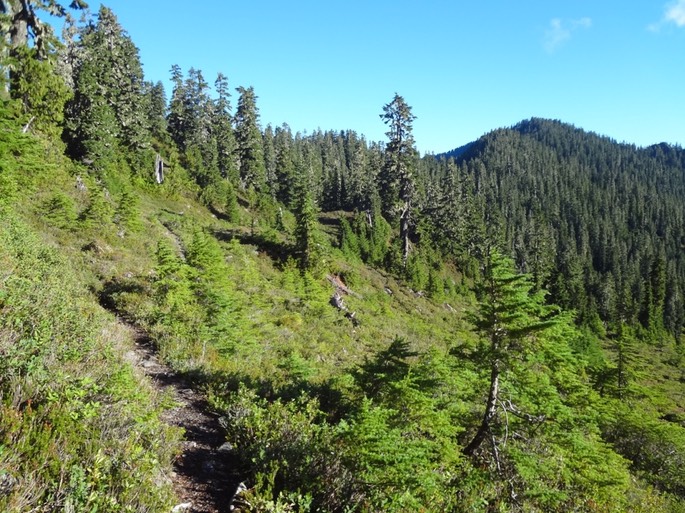 UNADJUSTEDNONRAW_thumb_499b