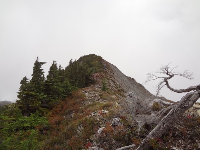 UNADJUSTEDNONRAW_thumb_49b0