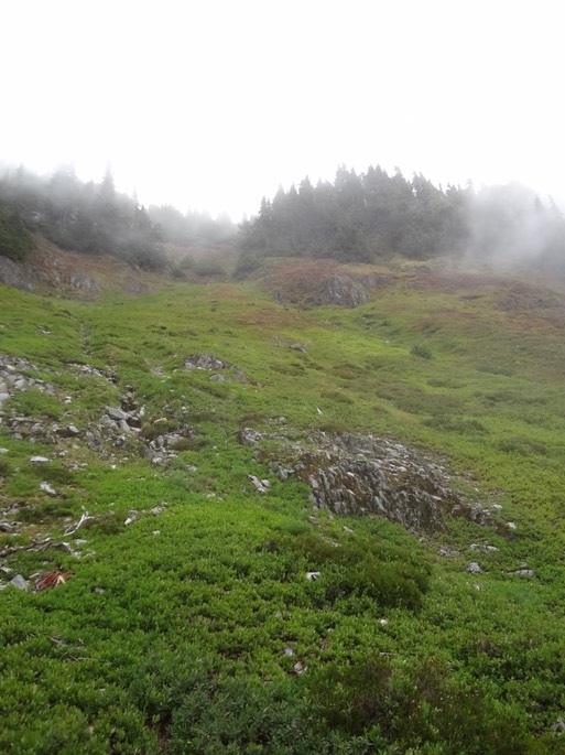 UNADJUSTEDNONRAW_thumb_49bd