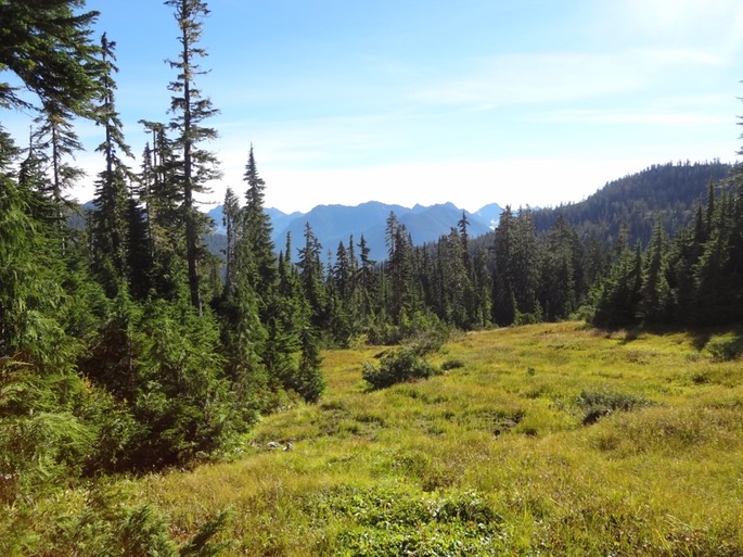 UNADJUSTEDNONRAW_thumb_49c6