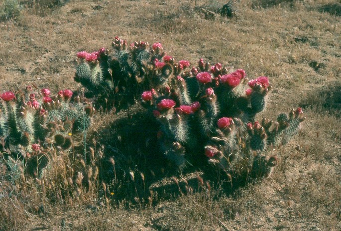 wHQlZlZoS4mxFSMxxoHWkQ_thumb_5665