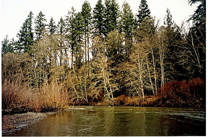 WillapaRb