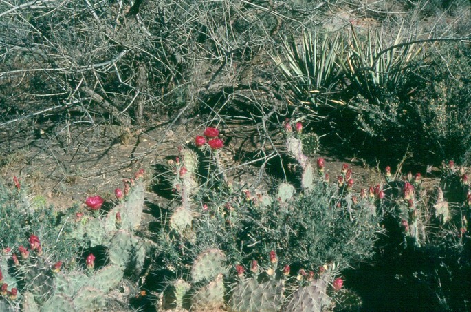 y8SwKShTTkWS9q8vB3jKqw_thumb_563c